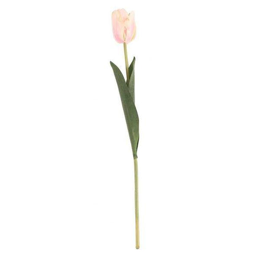 Artificial Tulip Champagne Silk Flowers Single Stem - Lost Land Interiors