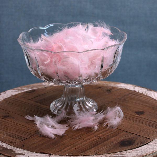 Baby Pink Feathers in Bag (5g) Loose Craft Feathers - Lost Land Interiors