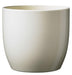 Shiny Vanilla Basel Fashion Pot (16cm) Indoor Ceramic Planter - Lost Land Interiors