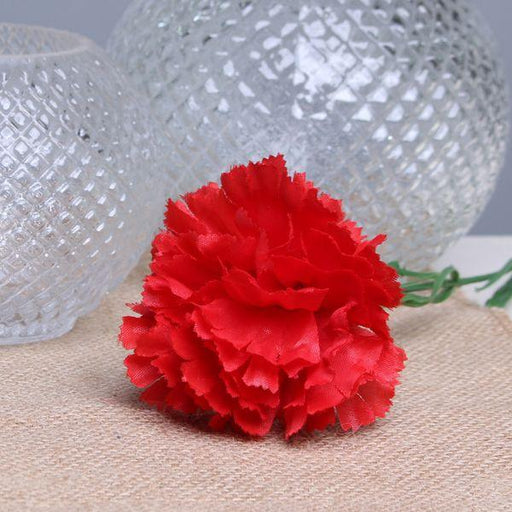 Red Single Carnations (12 Stems) - Lost Land Interiors