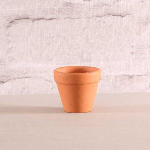 5cm Terracotta Pot Outdoor and Indoor Planter - Lost Land Interiors