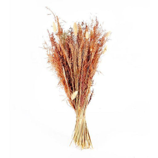 Dried Flowers Bennett Dried Bouquet Natural Florals - Lost Land Interiors