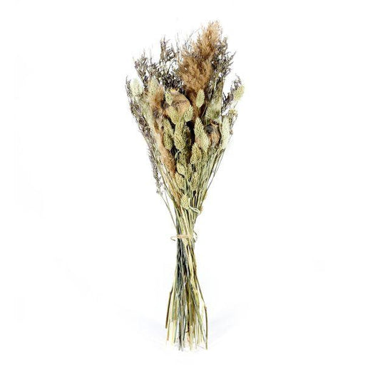 Dried Flowers Reid Dried Bouquet Natural Florals - Lost Land Interiors
