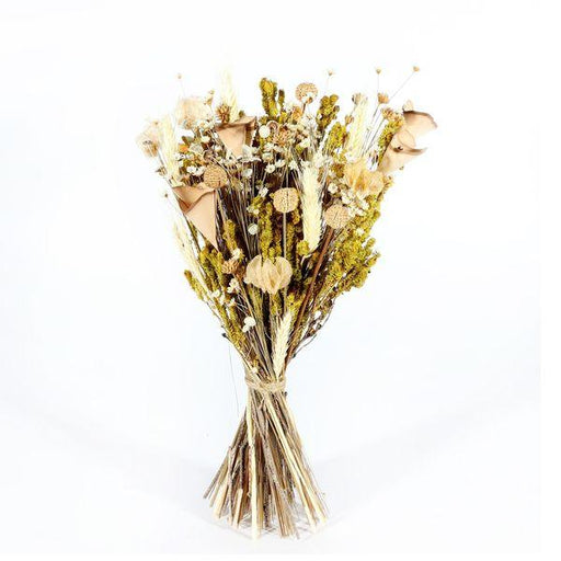Ixia Dried Flowers Meadow Dried Bouquet Natural Florals - Lost Land Interiors