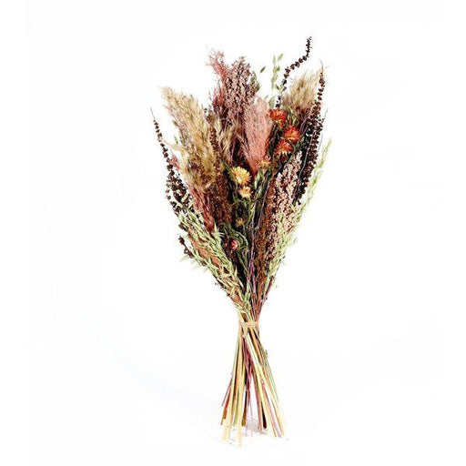 Ixia Dried Flowers Austen Dried Bouquet Natural Florals - Lost Land Interiors