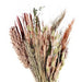 Ixia Dried Flowers Robin Dried Bouquet Natural Florals - Lost Land Interiors