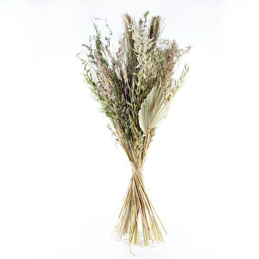 Ixia Dried Flowers Jade Dried Bouquet Natural Florals - Lost Land Interiors