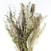 Ixia Dried Flowers Jade Dried Bouquet Natural Florals - Lost Land Interiors