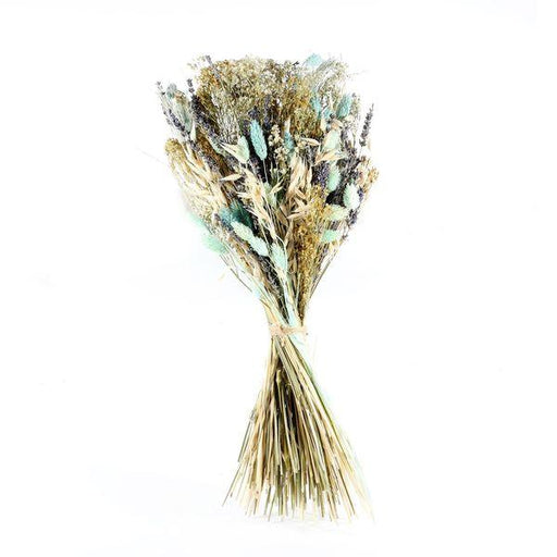 Ixia Dried Flowers Seaside Dried Bouquet Natural Florals - Lost Land Interiors