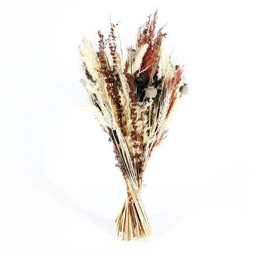 Ixia Dried Flowers Harper Dried Bouquet Natural Florals - Lost Land Interiors