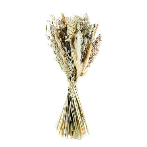 Dried Flowers Birch Dried Bouquet Natural Florals - Lost Land Interiors