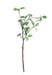 Lingonberry Spray with Green Cluster Berries (63cm) - Lost Land Interiors