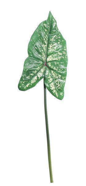 Large Single Syngonium Leaf (74cm) Artificial greenery Leaves - Lost Land Interiors