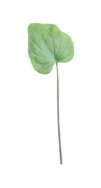 Large Hosta Leaf Green (56cm) - Lost Land Interiors
