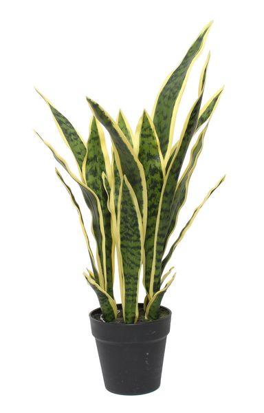 Potted Artificial Sansevieria Plant (64cm) - Lost Land Interiors