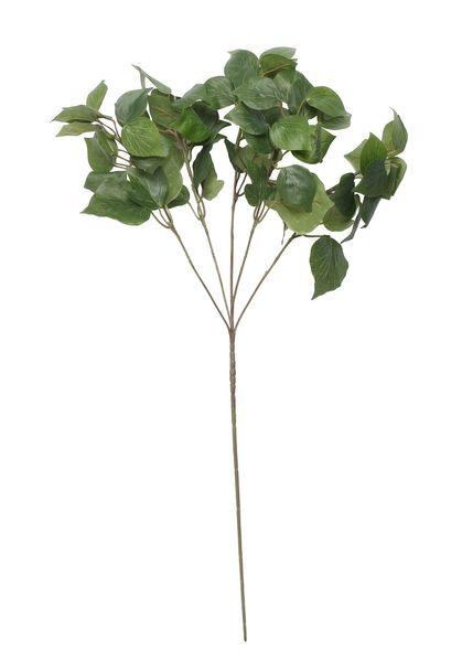 Holland Ivy Spray (24inch) Artificial Greenery Foliage - Lost Land Interiors