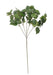 Holland Ivy Spray (24inch) Artificial Greenery Foliage - Lost Land Interiors