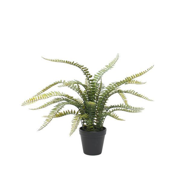 Potted Boston Fern (56cm) Artificial Plants - Lost Land Interiors