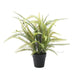 Potted Boston Fern 61cm Artificial Plants - Lost Land Interiors
