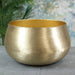 Hyde Park Brushed Gold Pot Cover (XXL) - Lost Land Interiors