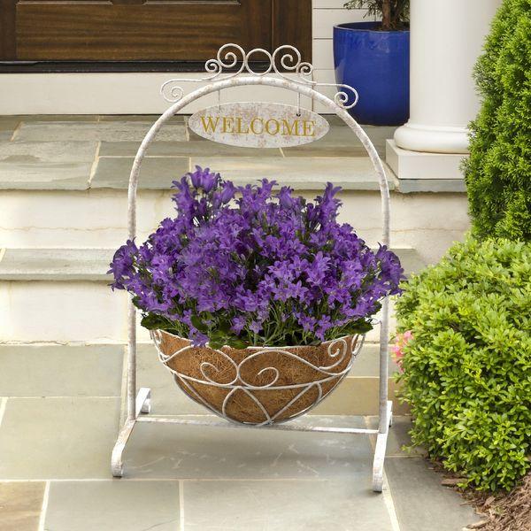 French Country Scroll Welcome Stand with Hanging Basket, Distressed White - Lost Land Interiors