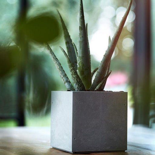 15cm Beton Cube Concrete Planter - Lost Land Interiors