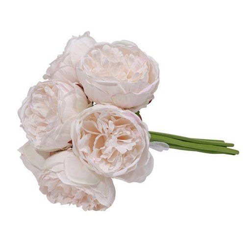 Aquitaine Peony Bunch Ivory 34cm (7 flowers)Artificial Peonies Silk Flowers - Lost Land Interiors