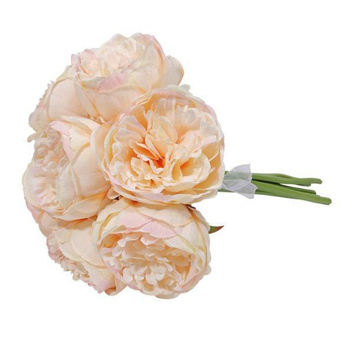 Aquitaine Peony Bunch Light Champagne 34cm (7 flowers bunch) Artificial Silk Peonies - Lost Land Interiors