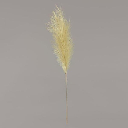 Luxury Pampas Pistachio Green (15 heads). Artificial Flowers - Lost Land Interiors