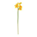 Artificial Daffodil Yellow/Orange 34cm Monet mini - Lost Land Interiors