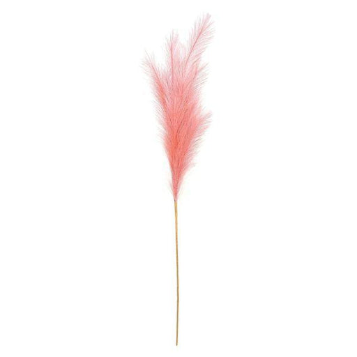 Luxury Pampas Blush Pink (15 Heads) Artificial Grass - Lost Land Interiors