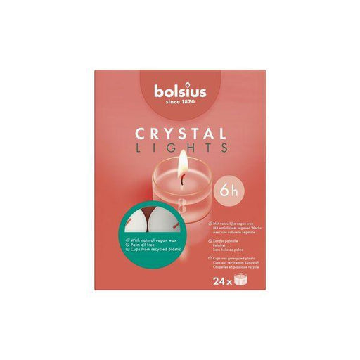 Bolsius Crystal Clear Cup Maxi Tea Lights (8 hour burntime) - Lost Land Interiors