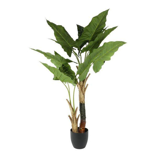 Artificial Cala Potted House Plant (130cm) - Lost Land Interiors