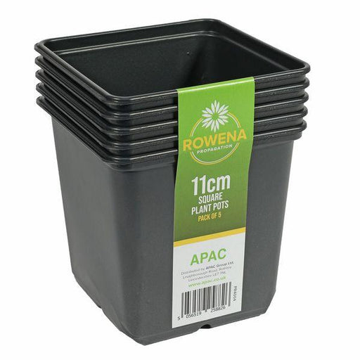 11cm Square Black Plant Pots (pack of 5) Garden Seed Potting Trays - Lost Land Interiors
