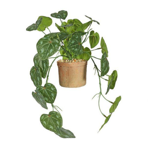 Cyclamen Houseplant in a Terracotta Pot (40cm) Potted Artificial Plants - Lost Land Interiors