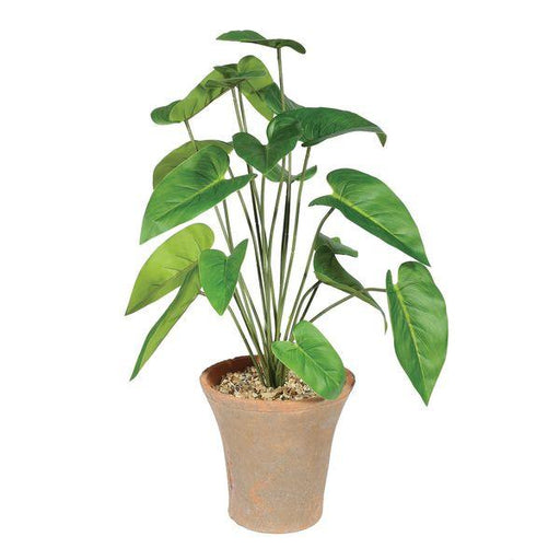 Calla Houseplant with Terracotta Pot (46cm) Potted Artificial Plants - Lost Land Interiors
