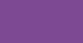 Regal Purple Spray Paint 400ml - Lost Land Interiors