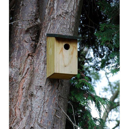 Kingfisher Wooden Bird Nesting Box - Lost Land Interiors