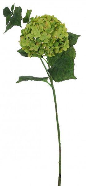 Large Hydrangea Green Artificial Flowers - Lost Land Interiors