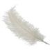 White Ostrich Feathers x 5 - Lost Land Interiors