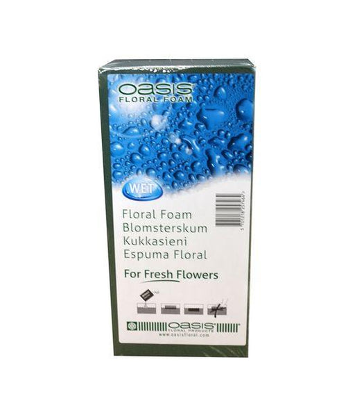 Oasis Shrink Wrapped Wet Foam Brick (1 pk) Individual Pack - Lost Land Interiors