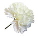 Artificial Ivory Carnations 12 Stem Bouquet Silk Flowers - Lost Land Interiors