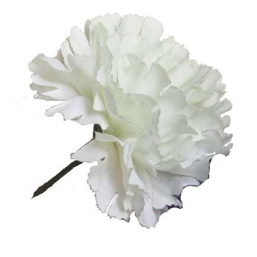White Single Carnations (12 Stems) - Lost Land Interiors