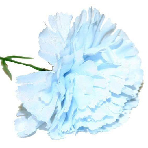 Baby Blue Single Carnations (12 Stems) - Lost Land Interiors