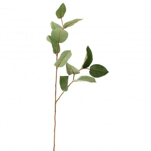 Salal Leaf Spray 70cm Artificial Foliage and Greenery - Lost Land Interiors