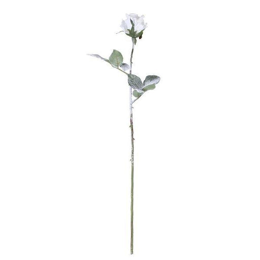 60cm Single Alice Rose Artificial Flowers Rose Stem - Lost Land Interiors