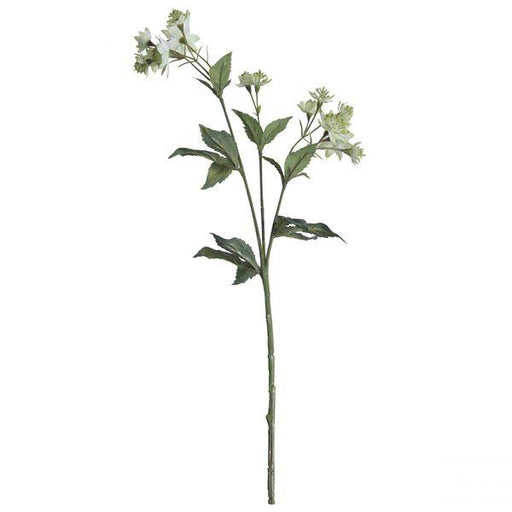 Green Astranria Artificial Silk Flowers - Lost Land Interiors