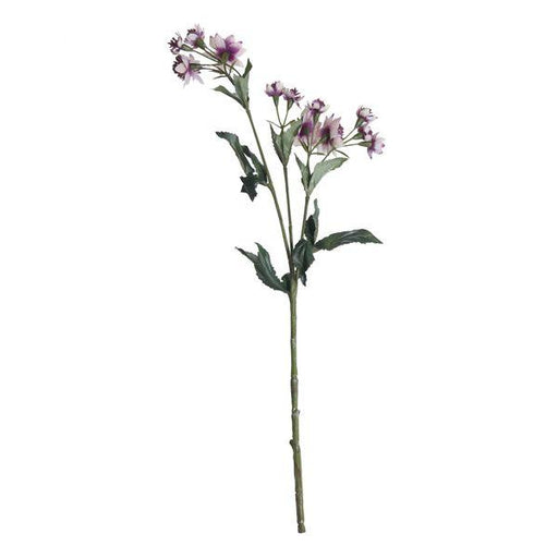 Dusky Pink Astranria Artificial Silk Flowers - Lost Land Interiors