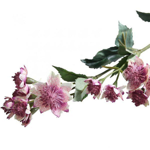 Dusky Pink Astranria Artificial Silk Flowers - Lost Land Interiors
