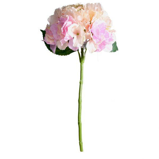 Blush Pink Short Stem Hydrangea - Lost Land Interiors